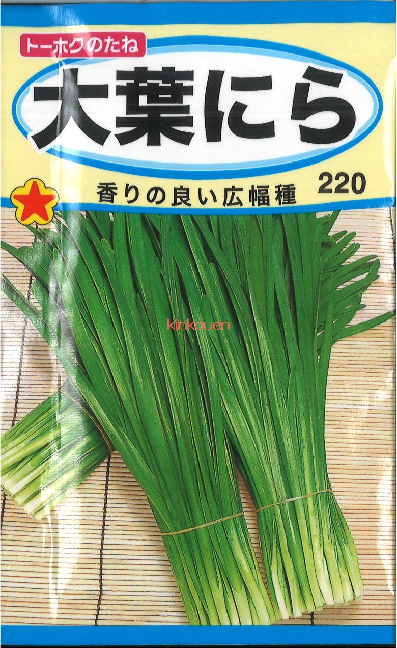 種子色々12種の中から3～7種。種子3点セット～ 大容量3袋セット ジャイアントヒマワリの種いろいろな味3種類（340g×3