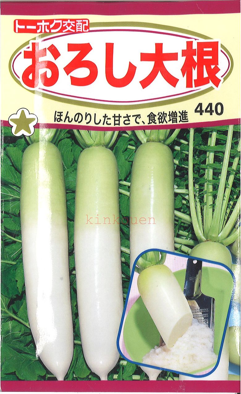 楽天市場】4-8-4【代引不可】【送料5袋まで80円】 赤茎ほうれん草 みやび  seed たね tane 種 種子 ホウレンソウの種 : 錦幸園  楽天市場店