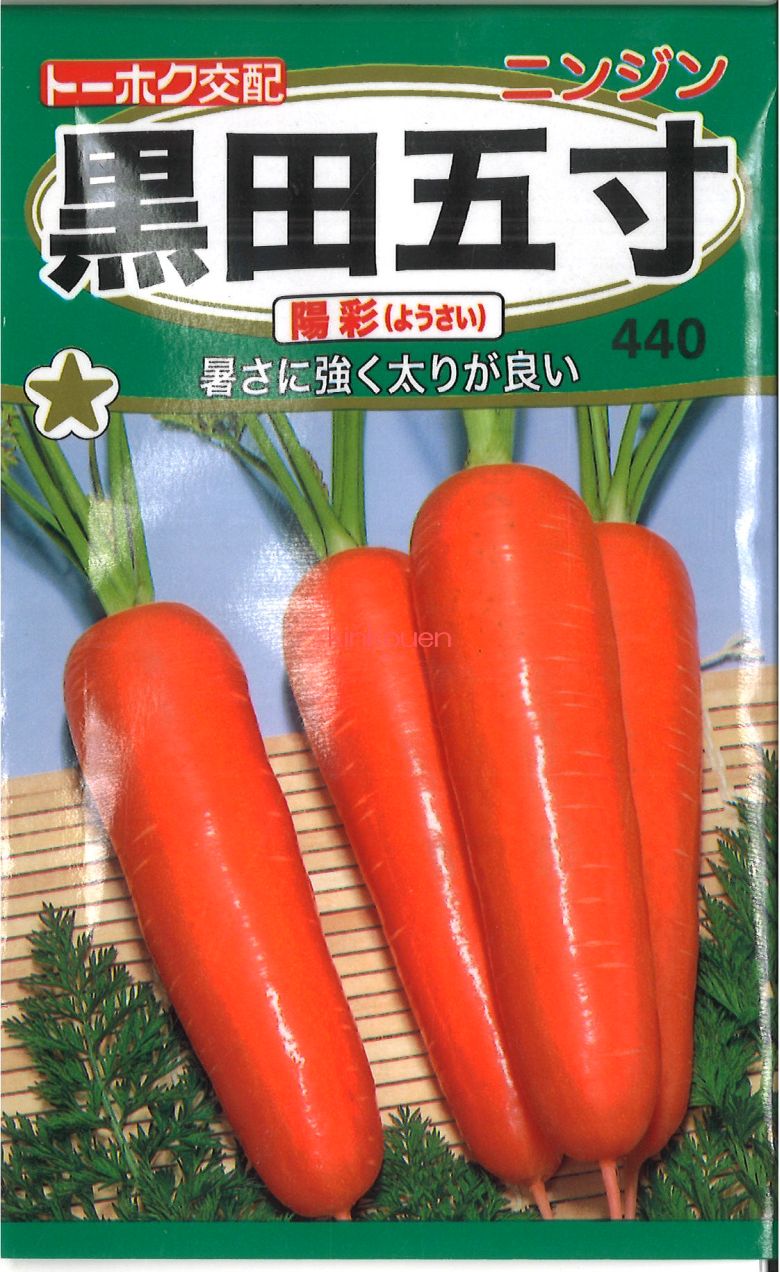 にんじん 続々リリース！ニンジャZX-25R用新作パーツセレクション〈×6