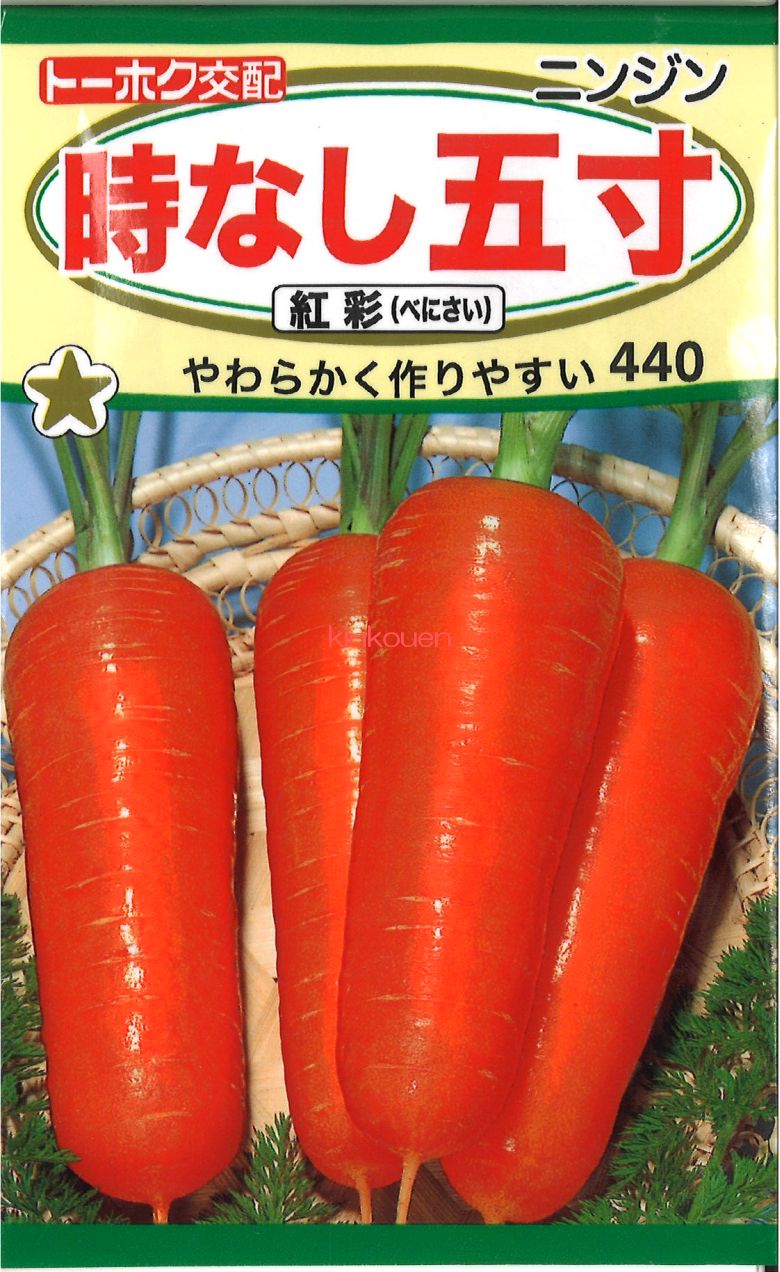 受注生産品】 〚Y2T256〛 あま~いニンジン 紅かおり 80粒 野菜の種 ダイコン 種 たね F1宮錦 1袋(4ml) 大根 野菜たね YTC08