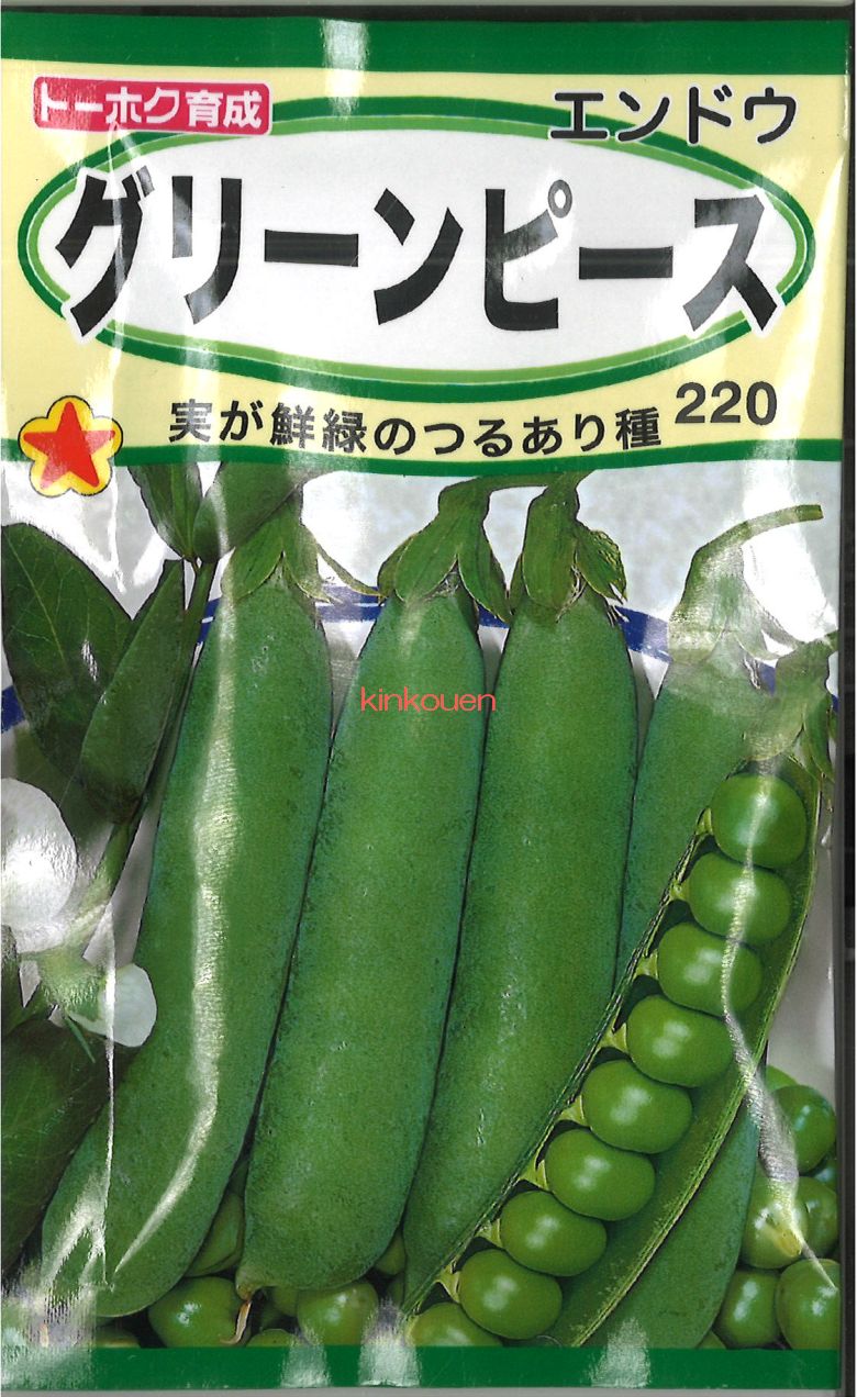 楽天市場】【代引不可】【送料5袋まで80円】 □一寸そら豆 : 錦