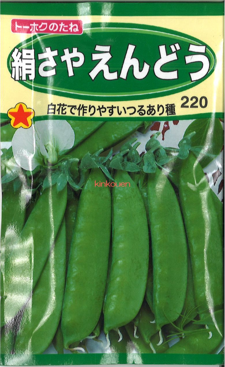 さやえんどう 有機栽培] 絹さやエンドウ(50g）《シーズン外商品》 の販売