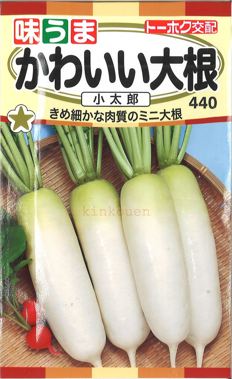 楽天市場 4 2 3 代引不可 送料5袋まで80円 かわいい大根 小太郎 Seed たね Tane 種 種子 大根 カブの種 錦幸園 楽天市場店