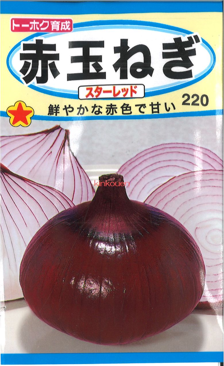 楽天市場】※8月上旬発送予定※タマネギ種【 レッドアロー 】20ml （栽培