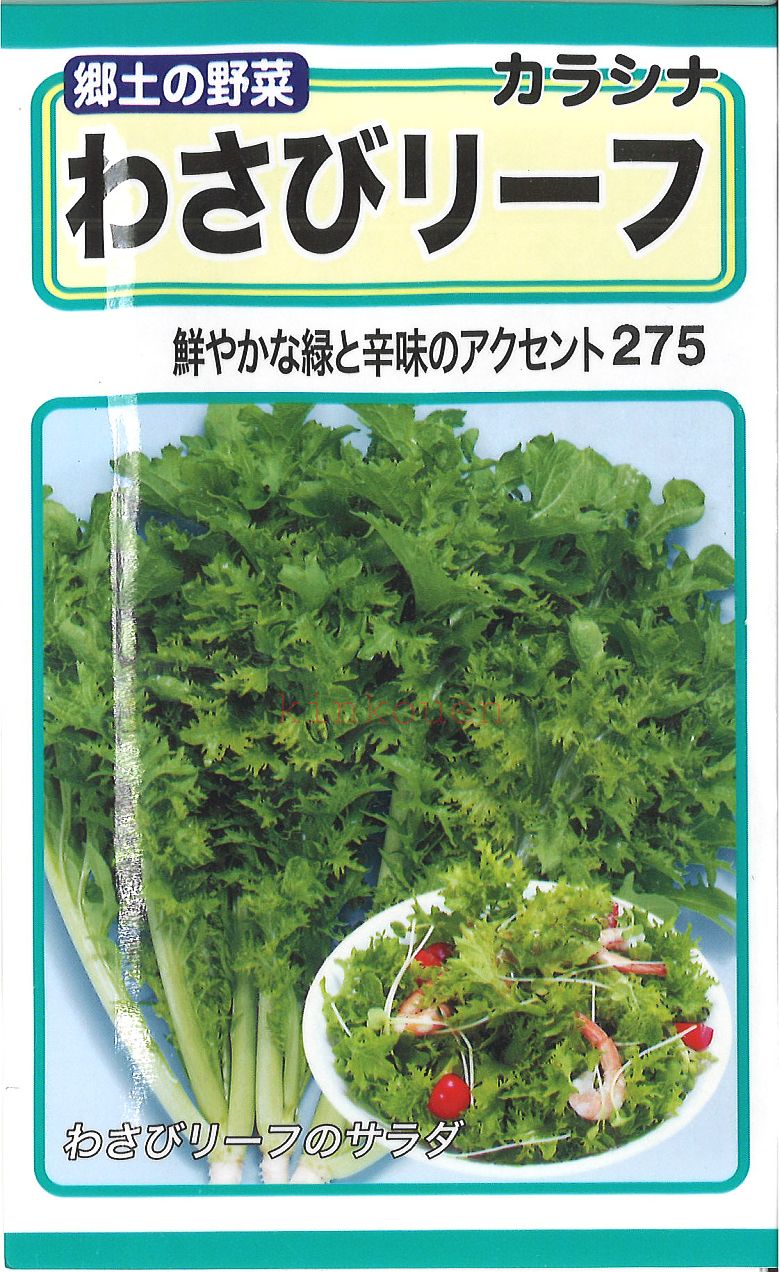 楽天市場 4 4 4 代引不可 送料5袋まで80円 わさびリーフ Seed たね Tane 種 種子 葉野菜 他の種 錦幸園 楽天市場店