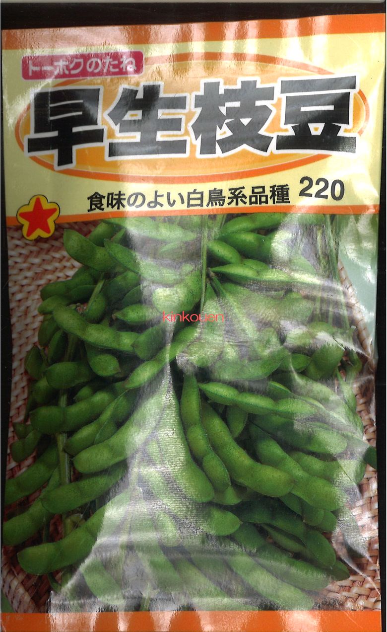 楽天市場】サッポロミドリ枝豆（えだまめ）（種:ウタネ）[えだまめ