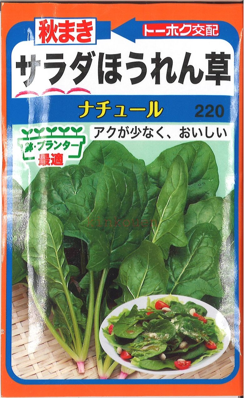 楽天市場】4-8-4【代引不可】【送料5袋まで80円】 赤茎ほうれん草 みやび  seed たね tane 種 種子 ホウレンソウの種 : 錦幸園  楽天市場店