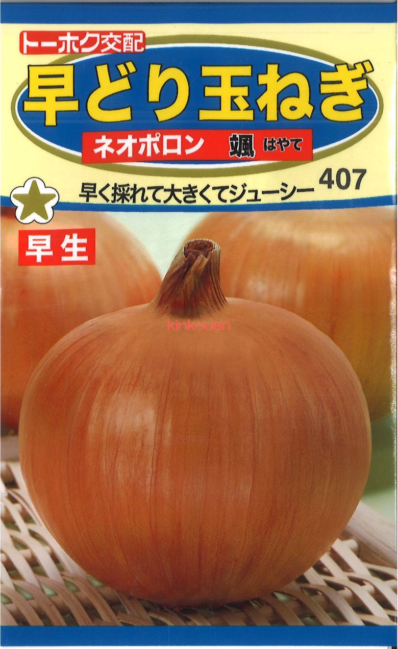 ホウレンソウ様 楽天市場】【代引不可】【送料5袋まで80円】 □日本ほうれん草