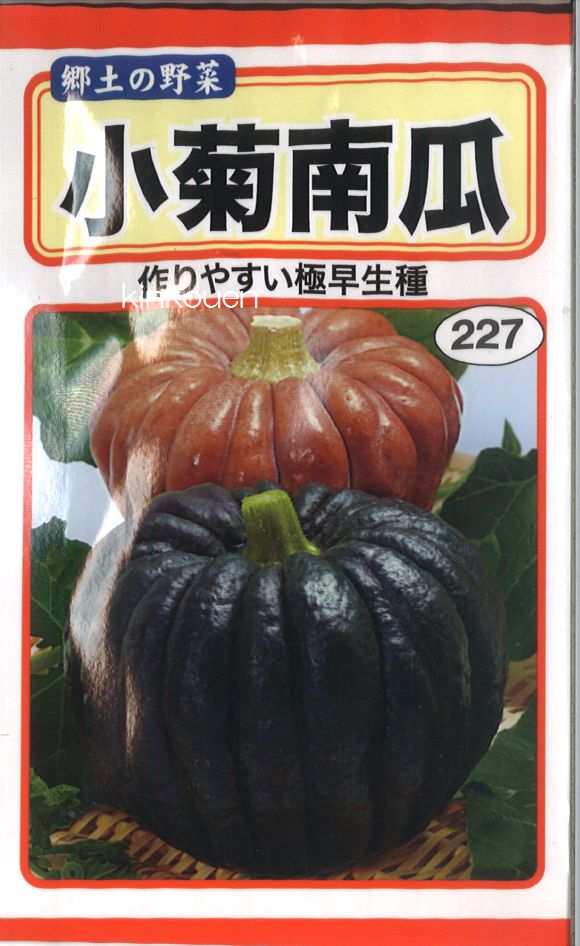 楽天市場 代引不可 5袋まで送料80円 小菊南瓜 錦幸園 楽天市場店