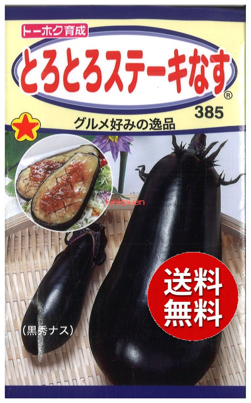 楽天市場】野菜種子 清黒中長ナス 紫輝（しき）トーホクのタネ : Ivy