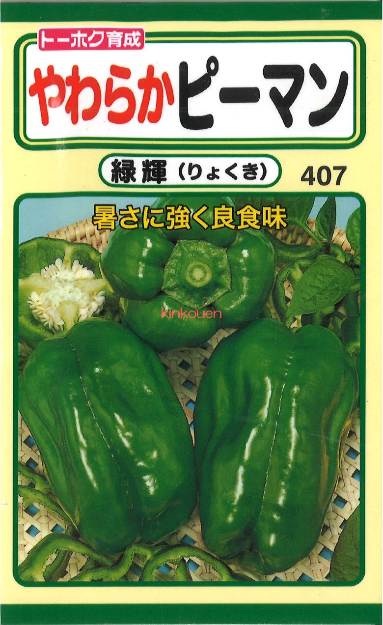 楽天市場】【代引不可】【送料5袋まで80円】 seed たね tane 種