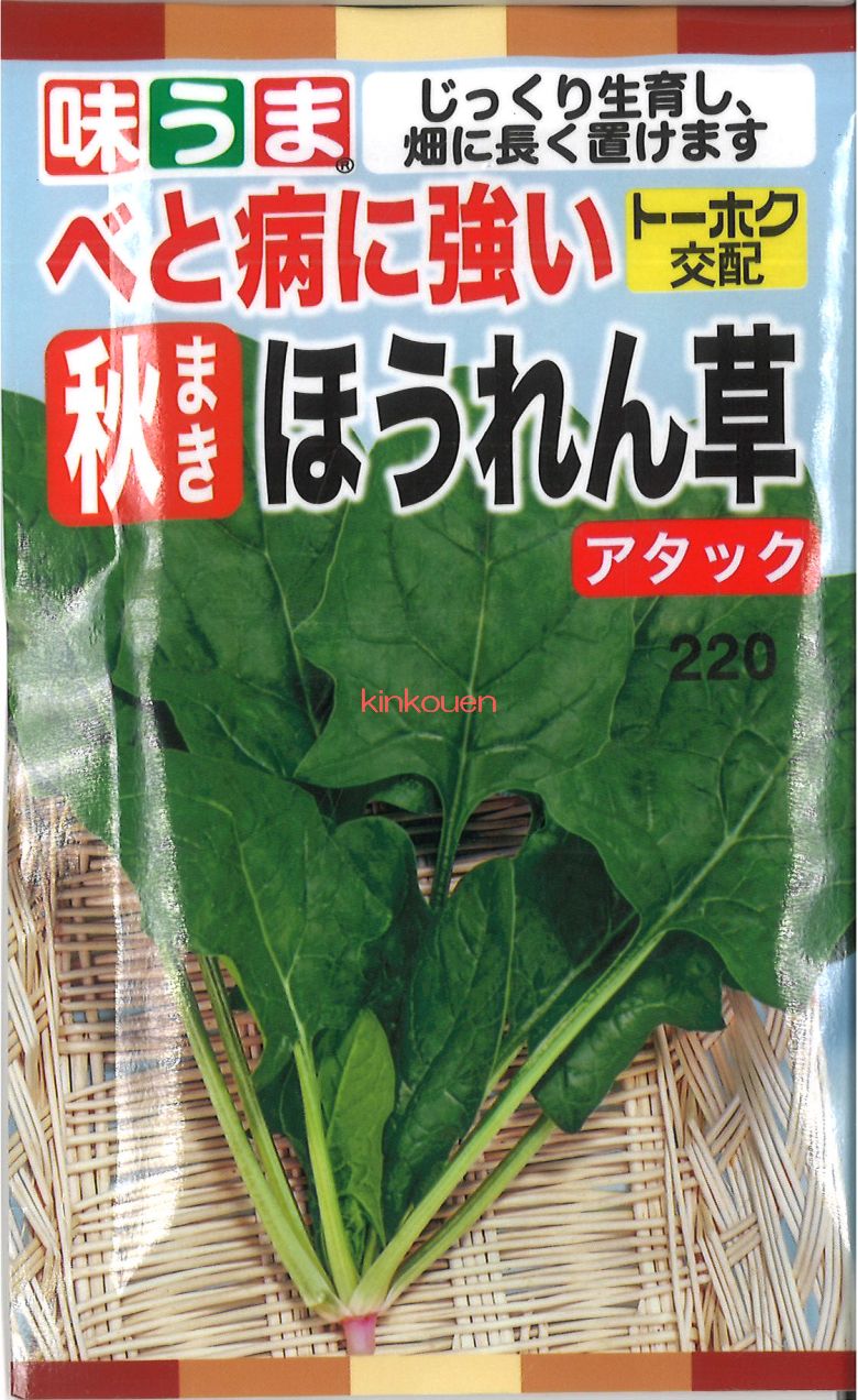 こんこんそうそう 楽天市場】スーパークレソン 根々爽草（こんこんそうそう） 1.5