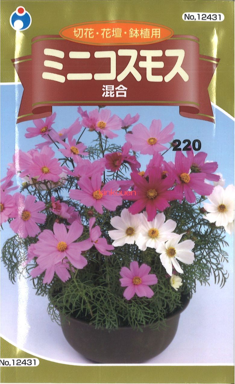 (コスモス様) Amazon | サカタのタネ 実咲花6362 黄花コスモス わい性ロード