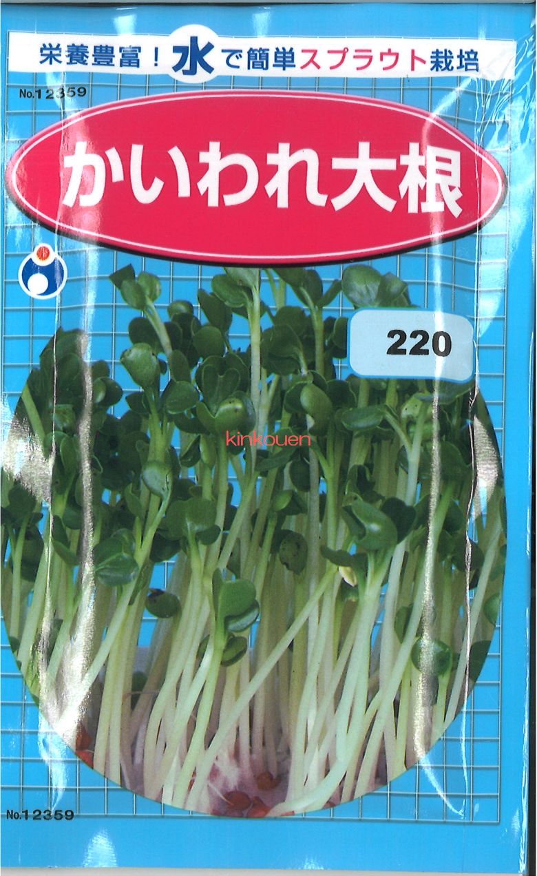 楽天市場】【代引不可】【送料5袋まで80円】 seed たね tane 種 種子