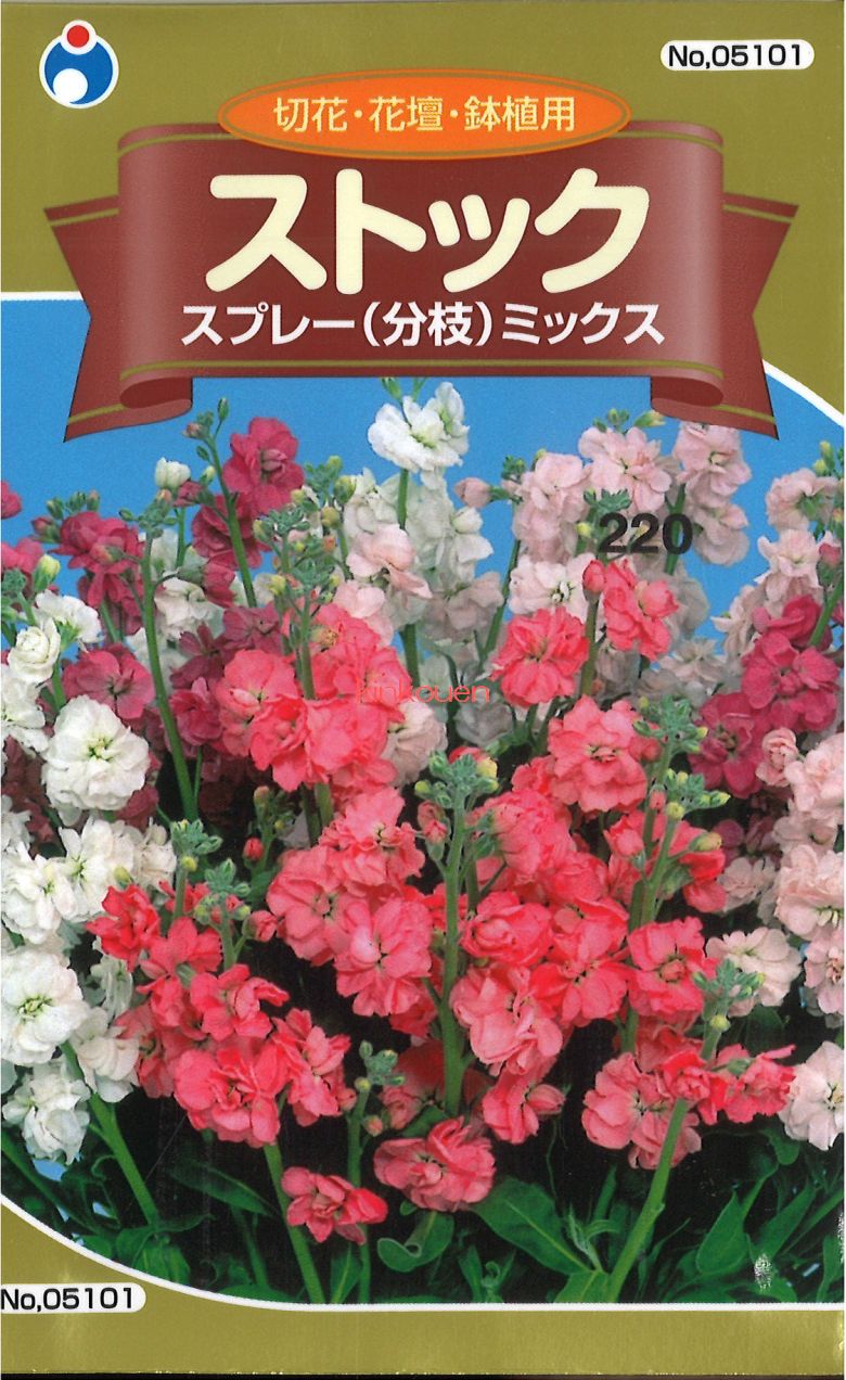 ギフト】 種 花たね ストック アプリコット 1袋 80mg