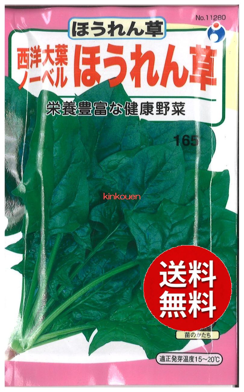 楽天市場 2 10 6 代引不可 送料5袋まで80円 西洋大葉ノーベルほうれん草 ホウレンソウの種 ほうれん草の種 法蓮草の種 葉野菜の種 つけなの種 Seed たね Tane 種 種子 ホウレンソウの種 錦幸園 楽天市場店