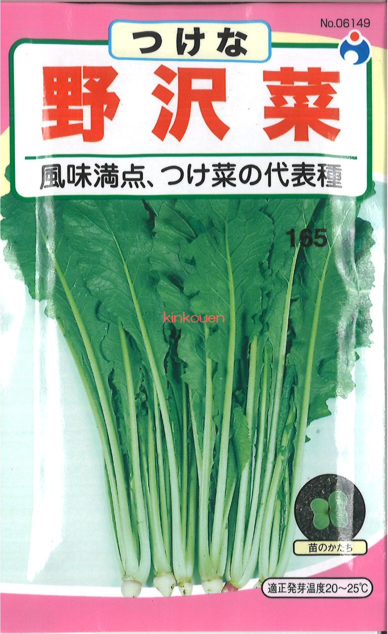 三池高菜　20kg 楽天市場】三池高菜 2dl袋 高菜 タカナ たかな ヤエ育成 【八江