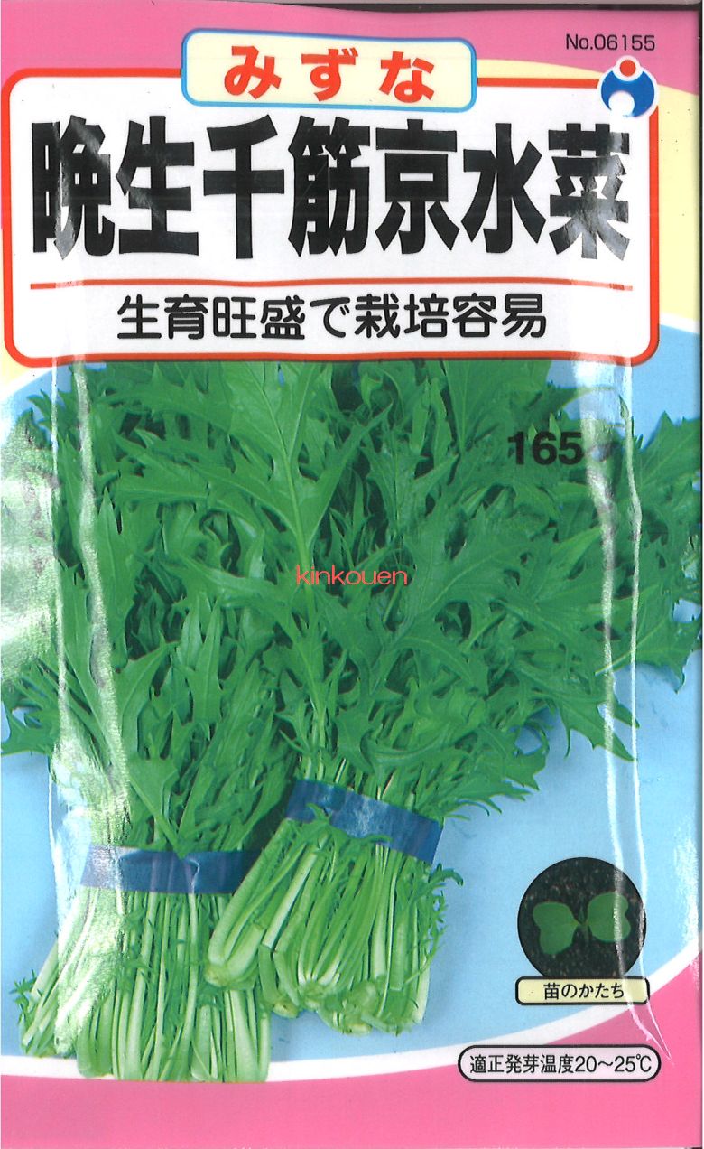 楽天市場】【代引不可】【送料5袋まで80円】 □太茎千筋京水菜 : 錦幸