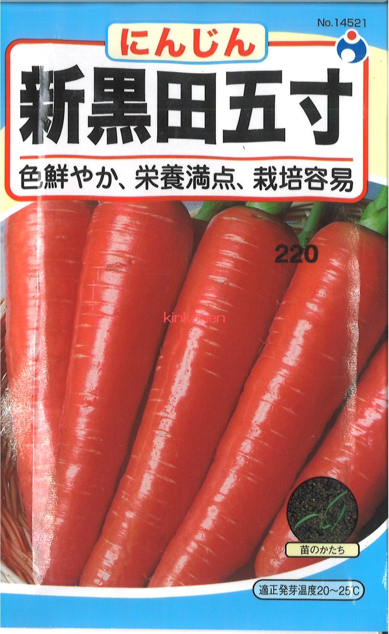 楽天市場】【種子】ニンジン 黒田五寸 陽彩（ようさい
