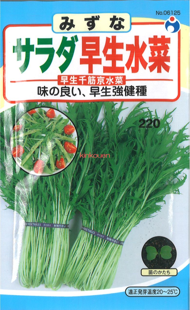 水菜 F IS FROZEN LEMONADE: THE ZX 8000 FROZEN LEMONADE SNEAKER