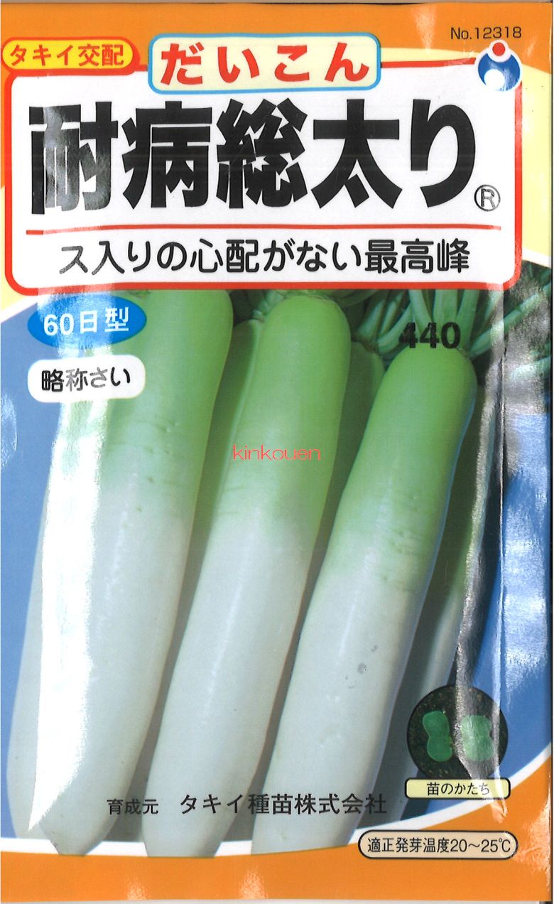 三池高菜　20kg 楽天市場】三池高菜 2dl袋 高菜 タカナ たかな ヤエ育成 【八江