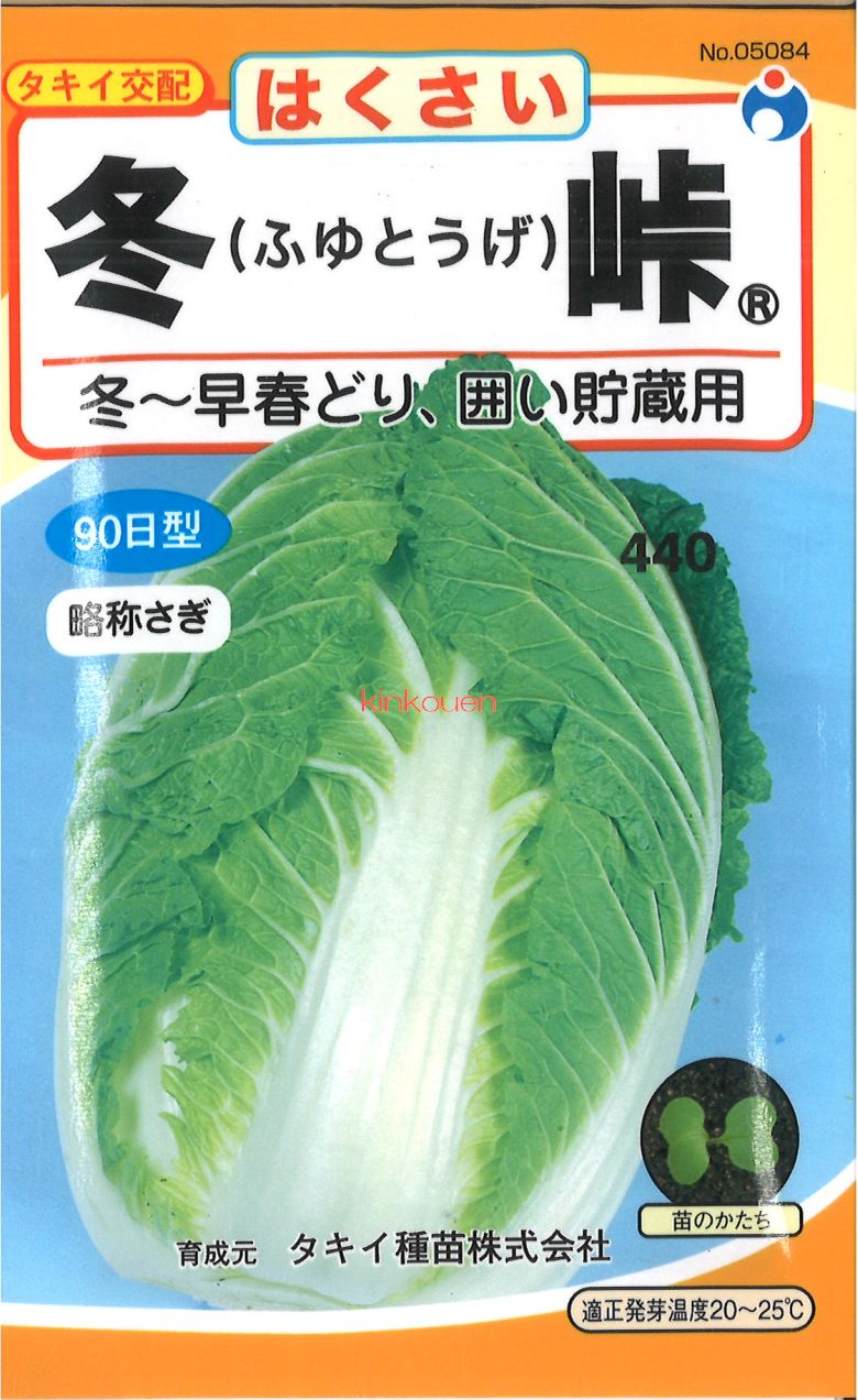 なつ様いつもありがとうございます♪白菜2キロ×一キロ とろーり旨なす】京都産 白なす 4個セット〔約1.2kg〕：京都府