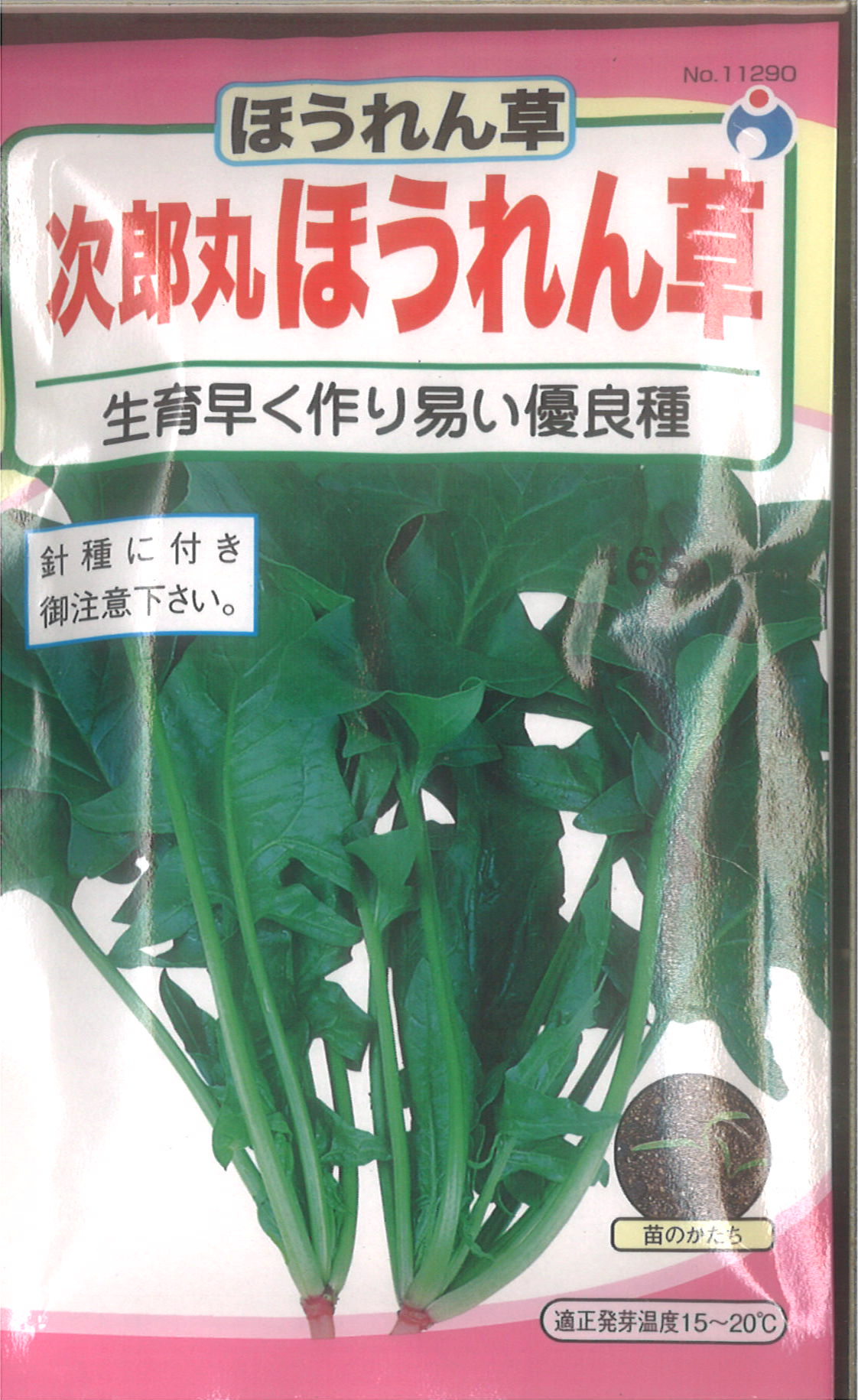 楽天市場】4-8-4【代引不可】【送料5袋まで80円】 赤茎ほうれん草 みやび  seed たね tane 種 種子 ホウレンソウの種 : 錦幸園  楽天市場店