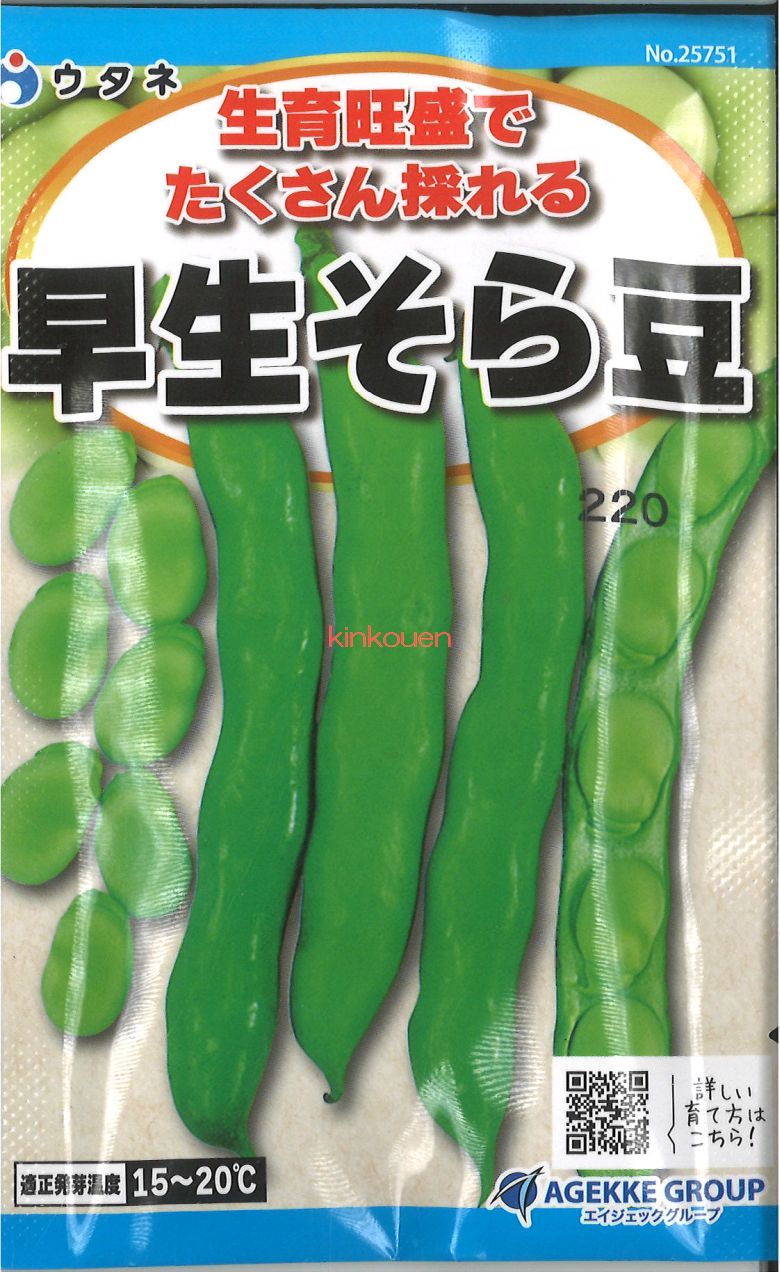 さやえんどう さやえんどう💗 #遠藤さくら #金川紗耶 #乃木坂46