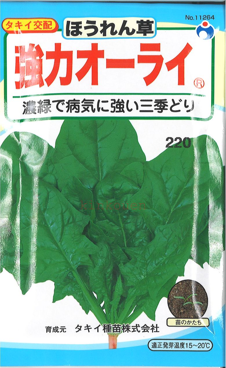 楽天市場】4-8-4【代引不可】【送料5袋まで80円】 赤茎ほうれん草 みやび  seed たね tane 種 種子 ホウレンソウの種 : 錦幸園  楽天市場店