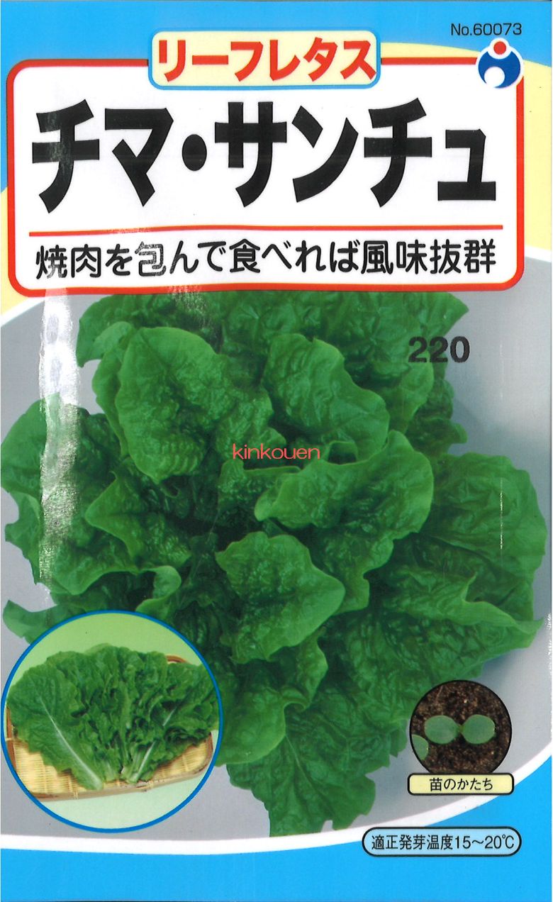 【代引不可】【送料5袋まで80円】◇ seed たね tane 種 種子 ﾀﾈ  ﾁﾏ・ｻﾝﾁｭ 種子 葉野菜 他 種種子 ブロッコリー  カリフラワー レタス ビタミン豊富で歯切れよく、焼肉などの肉巻き葉に最適、また油炒めやサラダにしても食味格別です。 錦幸園 
