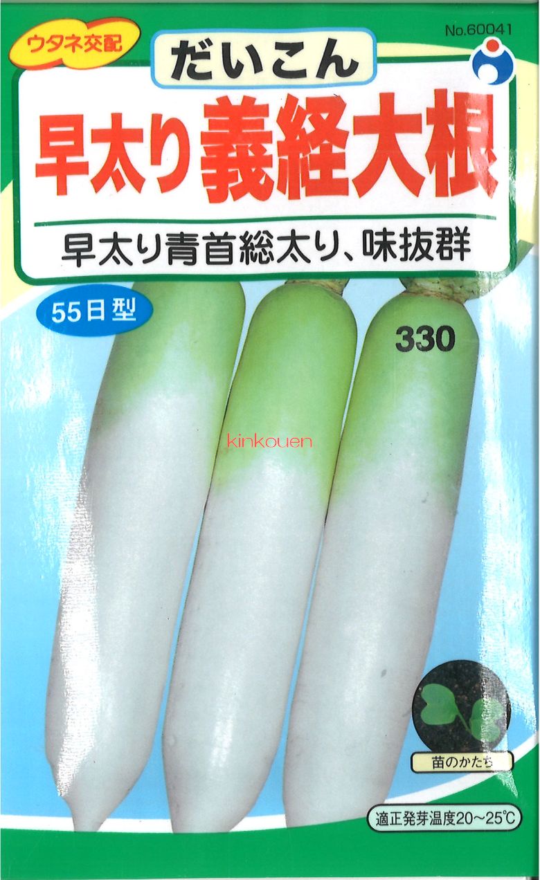 楽天市場】YRくらま大根（だいこん）（種:ウタネ）[ダイコン