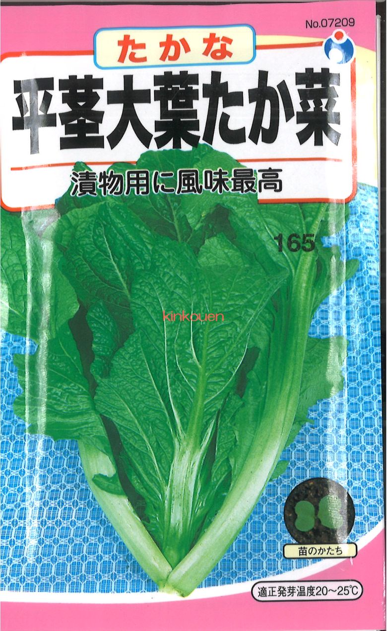 三池高菜　20kg 三池高菜 - オガワのタネ オンラインショップ