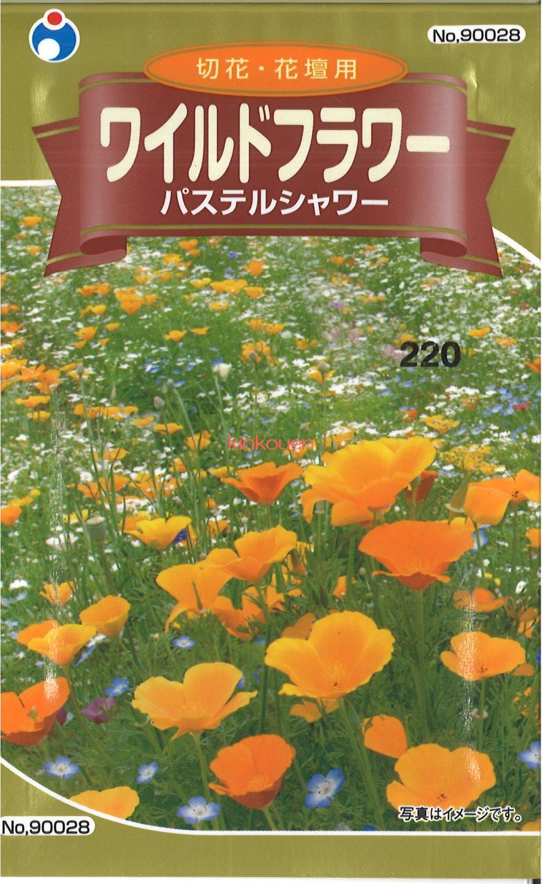 楽天市場 2 4 5 代引不可 送料5袋まで80円 ワイルドフラワー パステルシャワー 潤う ヒーリングガーデン 野生の花の種 Seed たね Tane 種 種子 花の種 錦幸園 楽天市場店