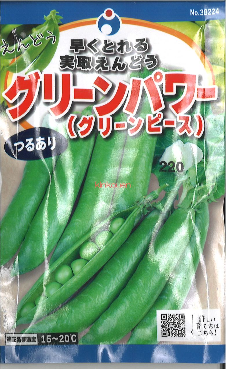グリンピースページ トーホク エンドウ グリーンピース ＜豆の種＞の通販｜エンドウ