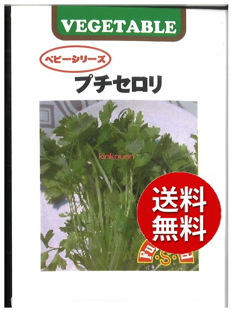 楽天市場】【チロル】プチロル20g（10袋入） : 駄菓子ワールド