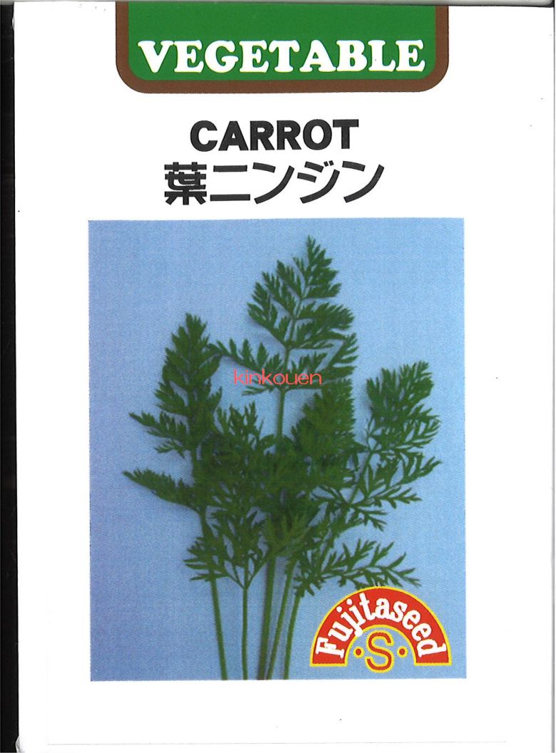 人参の葉っぱ 楽天市場】無農薬 EM農法 人参の葉 【葉っぱのみ】（にんじん