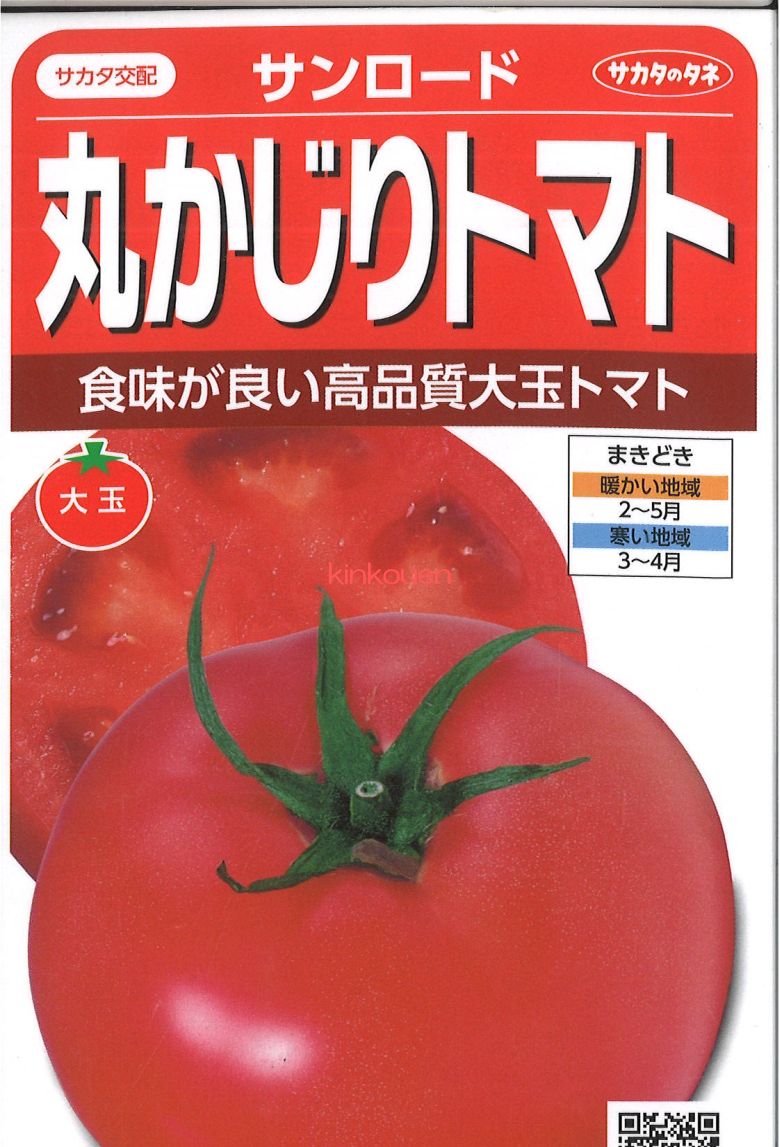甘〜いトマトです。 楽天市場】【種子】甘〜いトマト 甘九郎（かんくろう）トーホク
