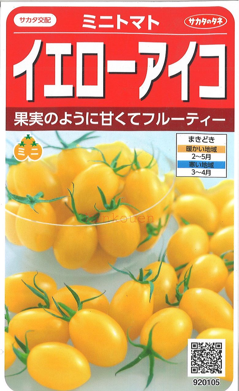 新★ 野菜の種　ブルービューティートマトの種　24粒