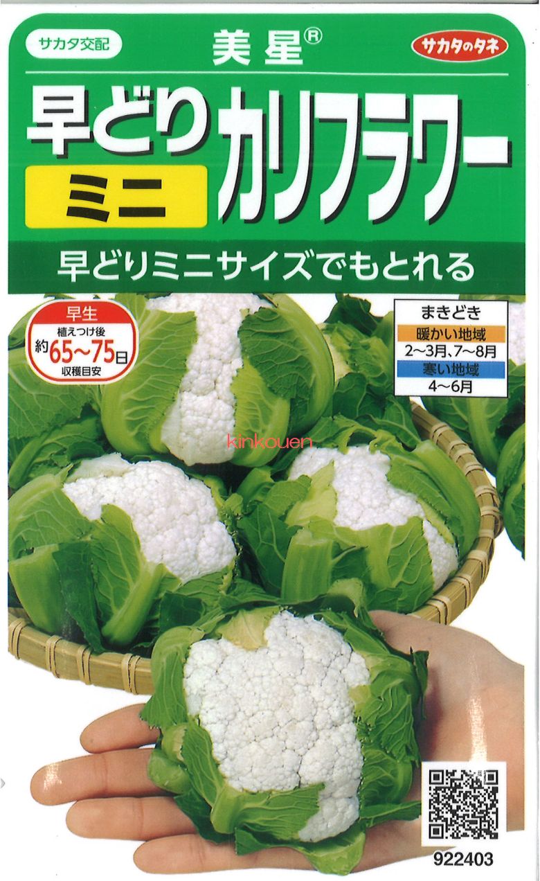 緑黄色社会 ブロッコリー＆カリフラワー　set 未開封 オフィシャルキャラクター「ブロッコリー」のお友達として