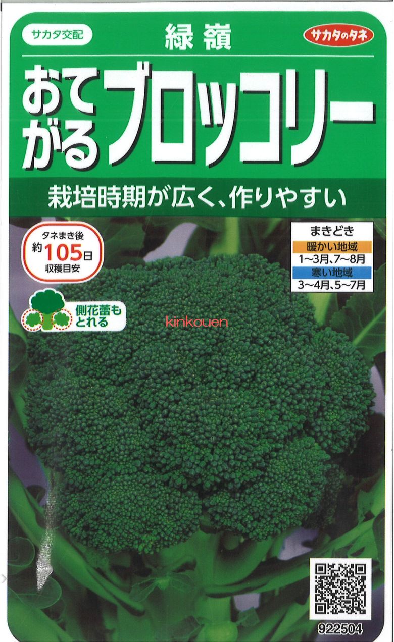 【モリ】ブロッコリーコート種子（グリーン5個、アーリー1個） 楽天市場】朝日アグリ ブロッコリー しき緑96号 2500粒 : 種苗