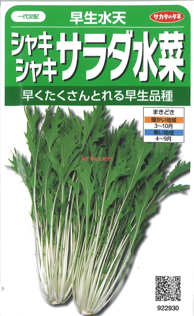 楽天市場】サラダ水菜 1PAC 約20g 【久保田農園 福岡産 珍しい野菜
