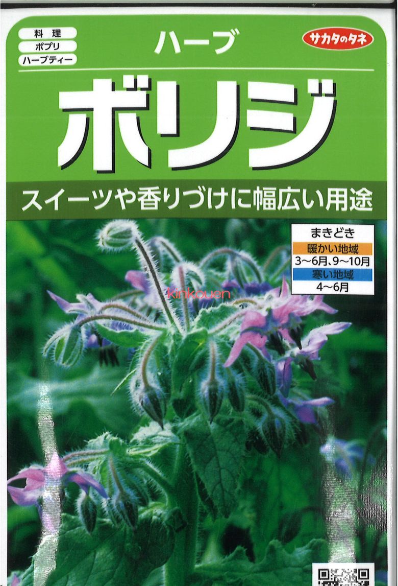 メーカー公式ショップ seed たね tane 種 種子 ﾀﾈ ｼﾞｬｰﾏﾝｶﾓﾐｰﾙハーブ 種花 ハーブ