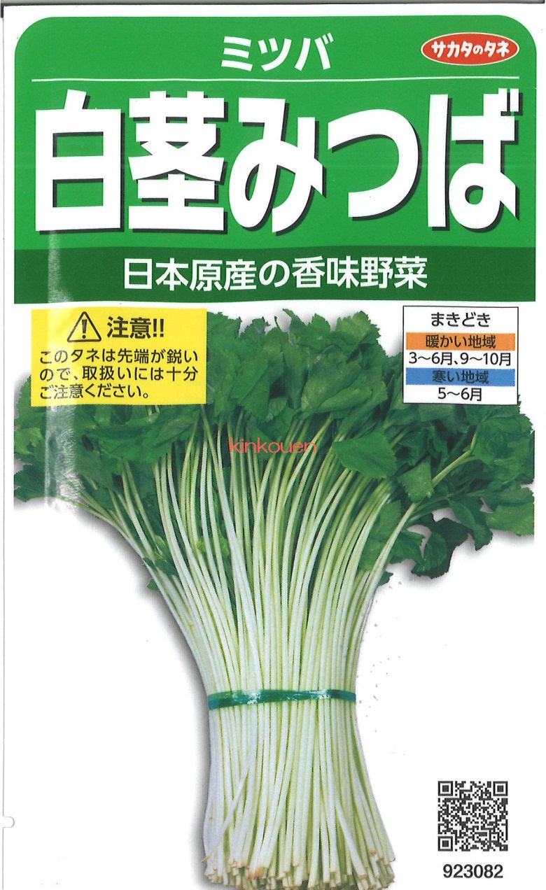 楽天市場】三つ葉 国内採種品 みつば White-stemmed Mitsuba / セリ科