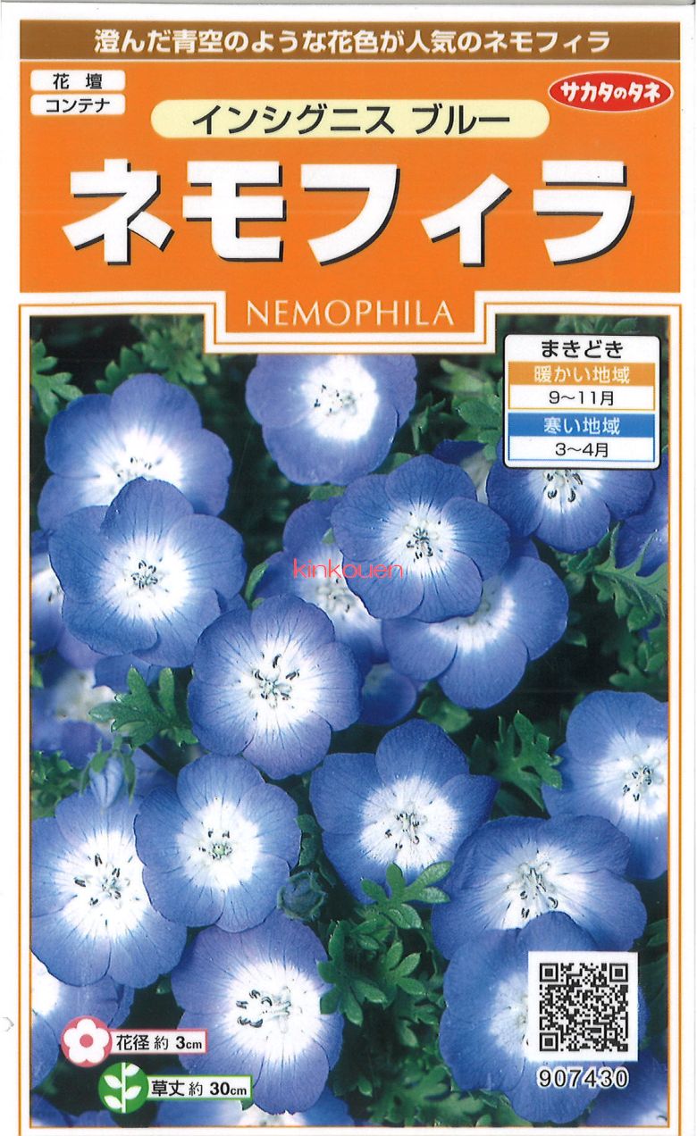 ねもふぃら購入ページ ネモフィラの種・タネ｜タキイネット通販【公式】