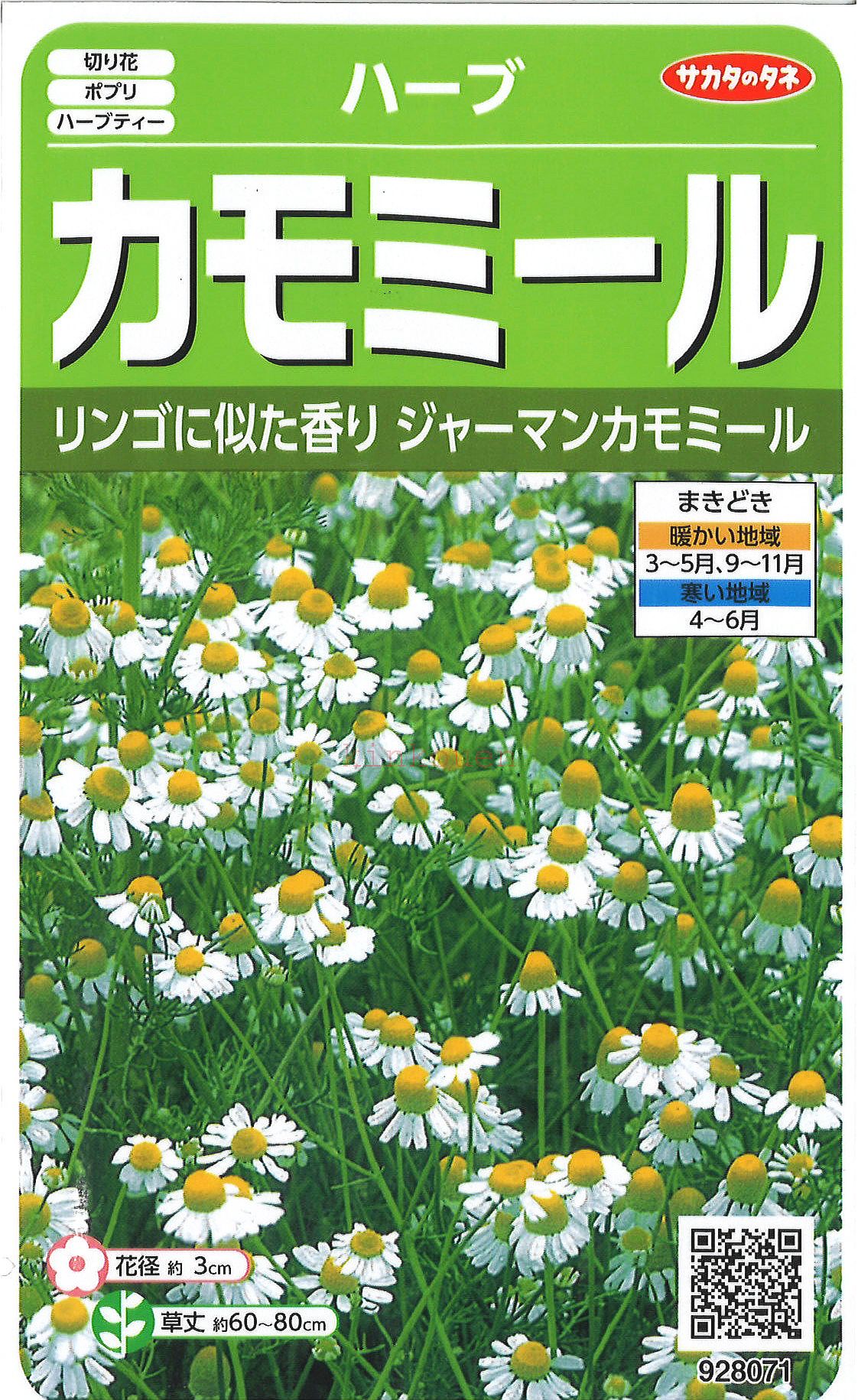 71%OFF!】 サカタのタネ 切り花用大実ほおずき ホオズキ 0.5ml