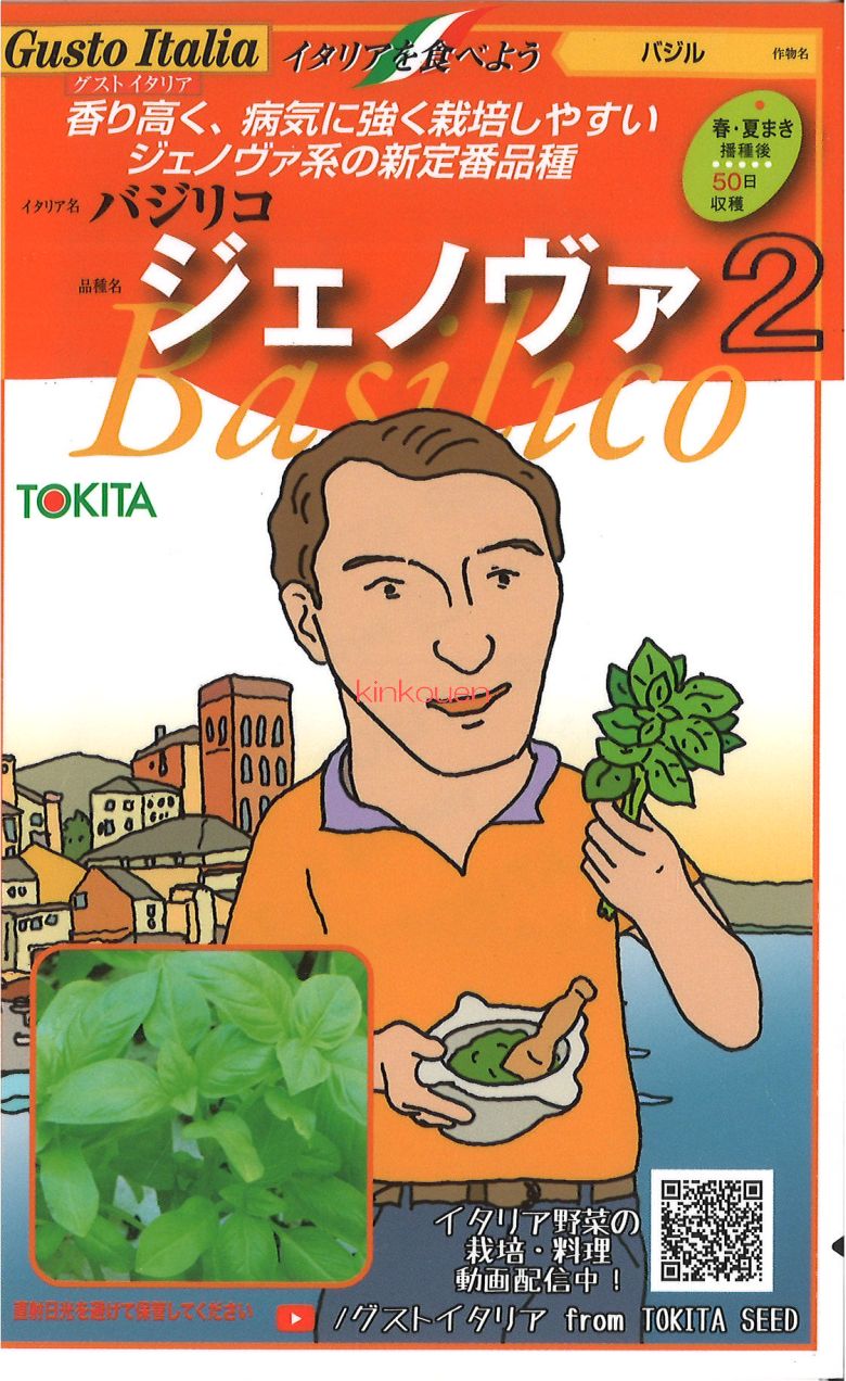 【代引不可】【送料5袋まで80円】◇ seed たね tane 種 種子 ﾀﾈ ﾌﾛｰﾚﾝｽﾌｪﾝﾈﾙﾌｨﾉｯｷｵﾅﾎﾟﾘハーブ 種  ハーブ 種 ハーブ 種 ハーブ 種 ハーブ 種 ハーブ 種 ハーブ 種 ハーブ 種 ハーブ 種 ハーブ 種 ハ 錦幸園 