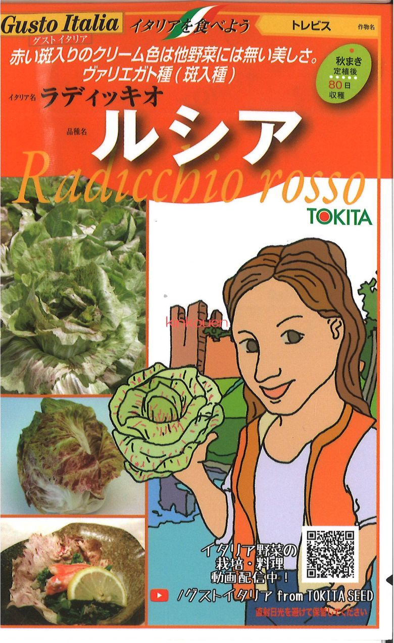 【代引不可】【送料5袋まで80円】◇ seed たね tane 種 種子 ﾀﾈ ﾅｽﾒﾗﾝﾂｧｰﾈﾋﾞｽﾃｯｶｽﾍﾟﾘｵｰﾚ種子 ナス 種  種子 ナス 種 種子 ナス 種 種子 ナス 種 種子 ナス 種 種子 ナス 種 種子 ナス 種 種子 ナ 錦幸園