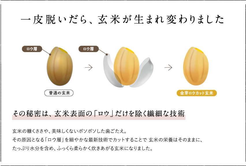 楽天市場 金芽ロウカット玄米島根県産きぬむすめ4kg 2kg 2袋 送料込 栽培期間中 農薬 化学肥料不使用 洗わずに炊ける Bg無洗米 健康志向 お米の栄養が豊富 ギフト おすすめ 白米感覚で食べる玄米 令和2年産 金芽米本舗