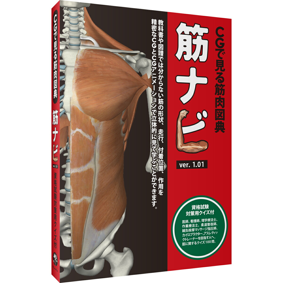 楽天市場 筋肉 ソフトウェア Cgで見る筋肉図典 筋ナビ1 01スタンダード版 全身の筋 名前 形状 360 回転 収録多数 149筋 イラスト Windows Mac 送料無料 キャンペーン 筋肉家