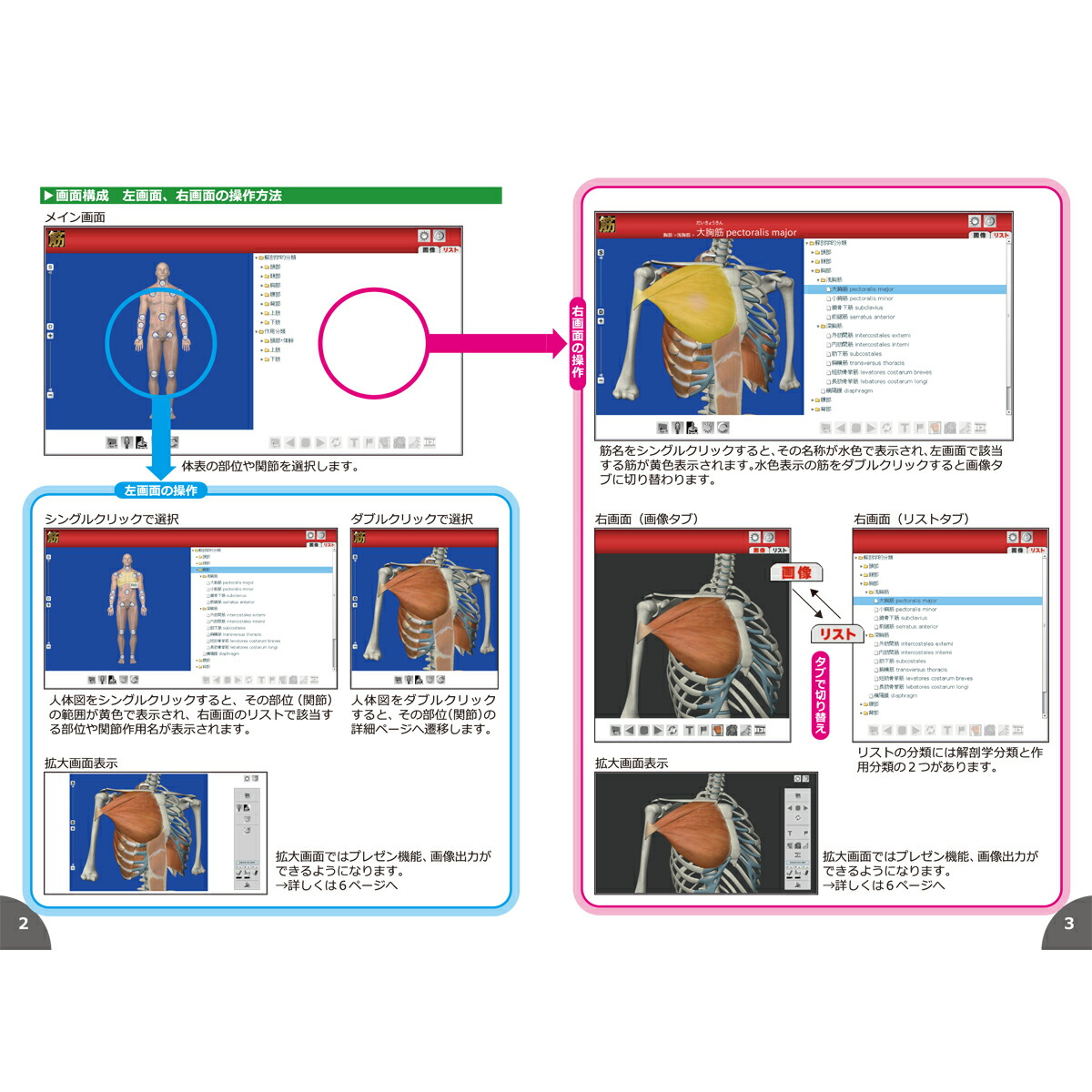 楽天市場 筋肉 ソフトウェア Cgで見る筋肉図典 筋ナビプレミアム版 全身の筋 名前 形状 360 回転 収録多数 177筋 イラスト Windows専用 送料無料 キャンペーン 筋肉家